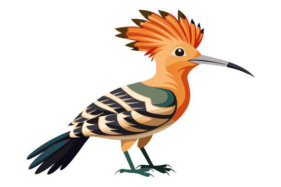 Hoopoe Bird Vector Design: What to Look For and What to Avoid