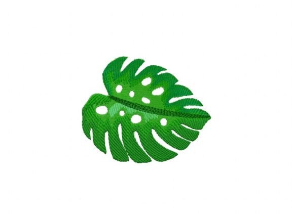 Monstera Leaf: A Practical Evaluation for Plant Enthusiasts