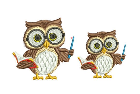 The Owl Effect: Nature’s Blueprint for Innovation and Strategy