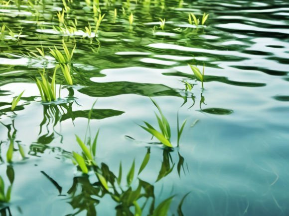 Water Surface Texture Background: A Practical Guide for Designers, Creatives, and Home Enthusiasts